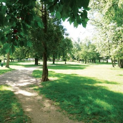 parc municipal-1.JPG